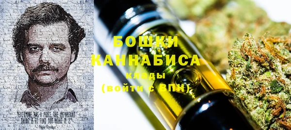 spice Богданович