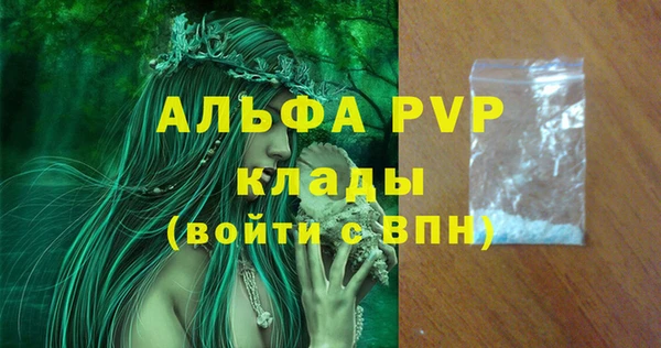 spice Богданович
