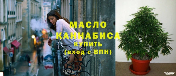 дмт Богородск