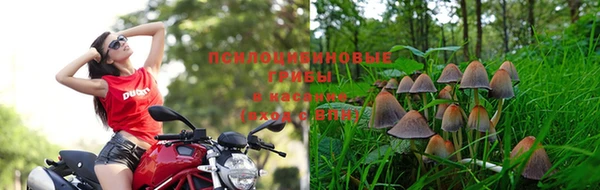 ALPHA PVP Зеленодольск