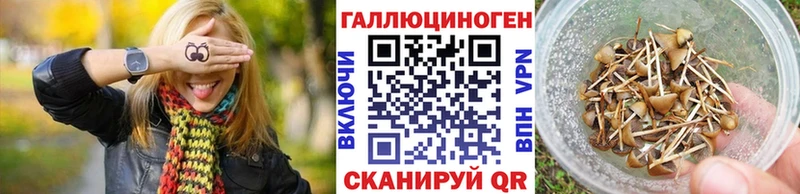 цена наркотик  Володарск  это официальный сайт  Псилоцибиновые грибы мицелий 